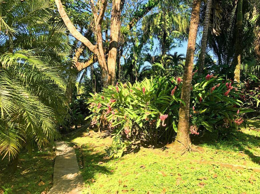 Villa Del Idaan Bocas del Toro Exteriör bild
