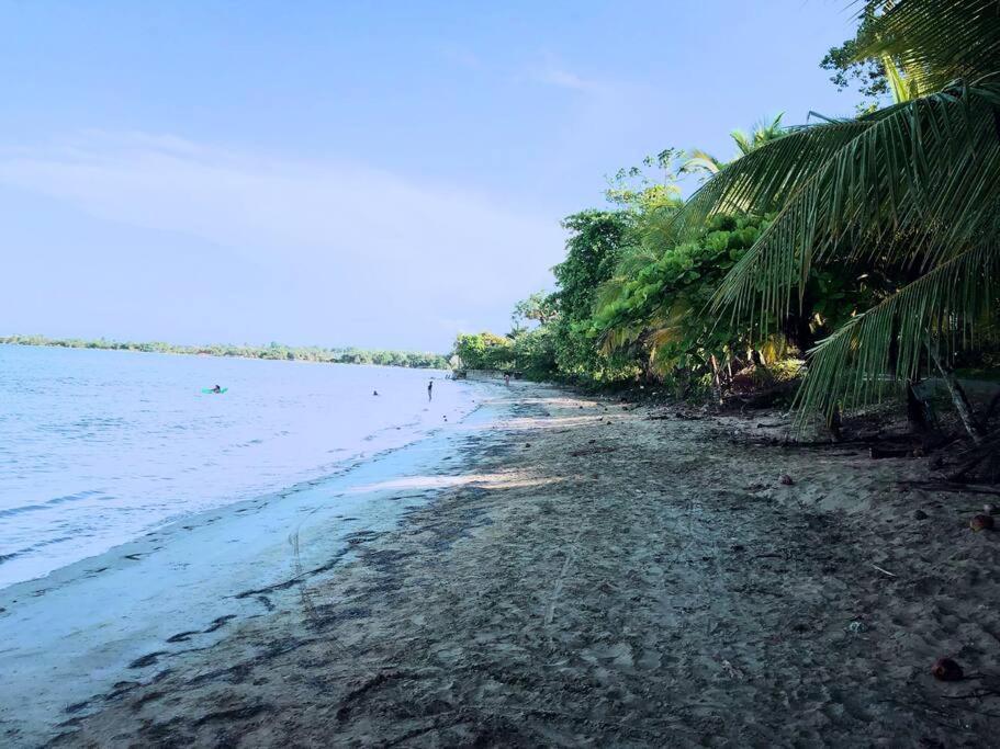 Villa Del Idaan Bocas del Toro Exteriör bild
