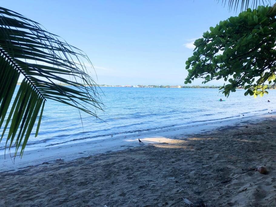 Villa Del Idaan Bocas del Toro Exteriör bild