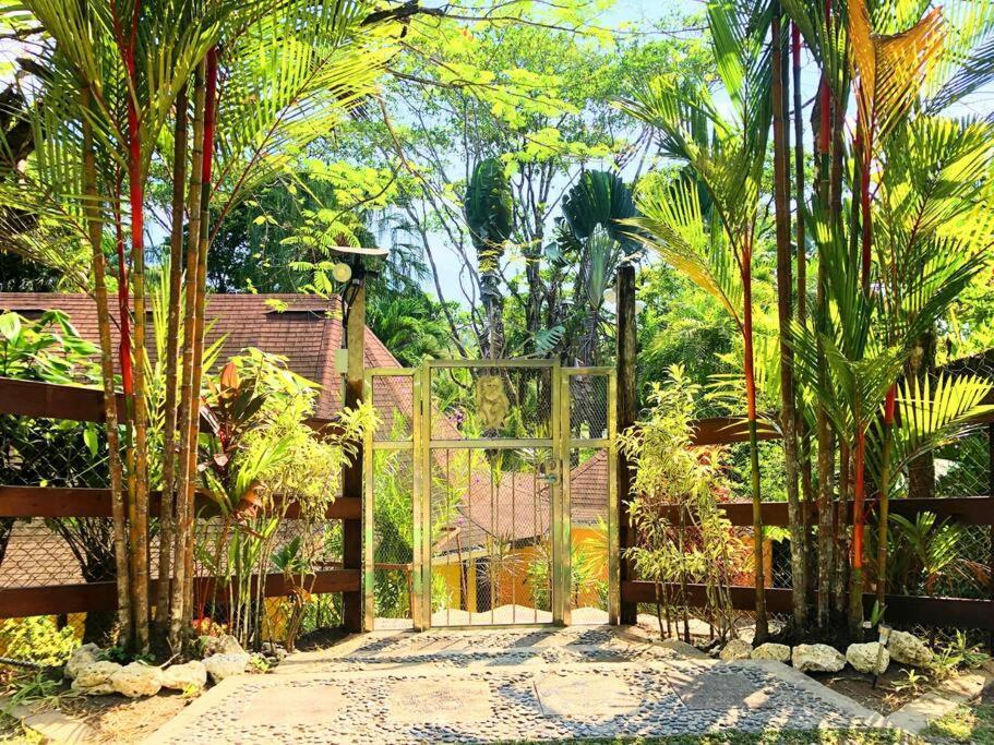 Villa Del Idaan Bocas del Toro Exteriör bild